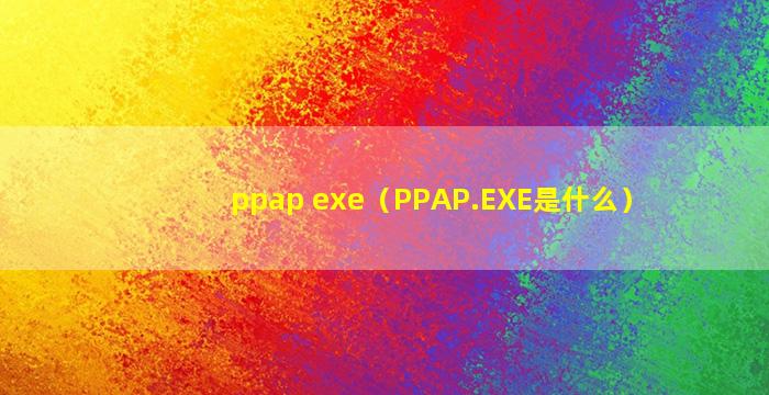 ppap exe（PPAP.EXE是什么）